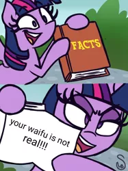 Size: 760x1015 | Tagged: safe, artist:quarium edits, derpibooru import, edit, twilight sparkle, alicorn, anti-bronybait, book, captain obvious, ed edd n eddy, evil grin, exploitable meme, grin, image, jpeg, meme, obviously, pure unfiltered evil, reality ensues, reality sucks, shut up, smiling, truth, twilight's fact book, twilight sparkle (alicorn), waifu, we know