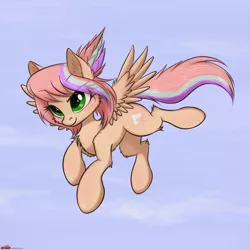 Size: 2165x2164 | Tagged: safe, artist:orang111, derpibooru import, oc, oc:sweet skies, unofficial characters only, pegasus, pony, female, flying, mare, solo