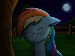 Size: 1600x1200 | Tagged: safe, artist:jacsveus, derpibooru import, rainbow dash, crying, fence, moon, night, sad, solo, tree