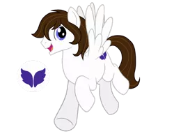 Size: 1020x783 | Tagged: safe, artist:gypsycharm, derpibooru import, oc, oc:arcanel, unofficial characters only, pegasus, pony, 2018 community collab, derpibooru community collaboration, cutie mark, male, simple background, solo, stallion, transparent background