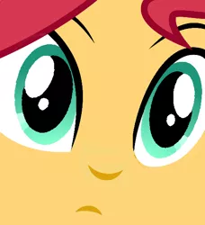 Size: 500x549 | Tagged: safe, artist:grapefruitface1, artist:keronianniroro, derpibooru import, edit, part of a set, sunset shimmer, equestria girls, close-up, confused, cute, face, looking at you, shimmerbetes, stare