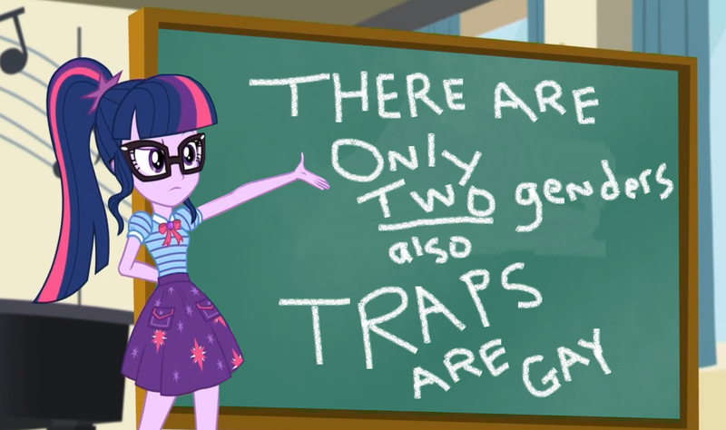 Size: 1460x865 | Tagged: safe, derpibooru import, edit, edited screencap, screencap, sci-twi, twilight sparkle, equestria girls, equestria girls series, chalkboard, exploitable meme, female, meme, transphobia, twilight sparkle's chalkboard