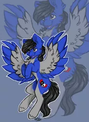 Size: 900x1237 | Tagged: safe, artist:gela98, derpibooru import, oc, unofficial characters only, pegasus, pony, black, blue, digital, digital art, gray, sketch, solo, zoom layer