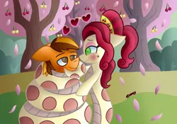 Size: 1090x765 | Tagged: safe, artist:snakeythingy, derpibooru import, cherry jubilee, oc, oc:merc fox, lamia, original species, snake pony, blushing, canon x oc, cherry, cherry orchard, coils, food, lamiafied, looking at each other, request, species swap, story included