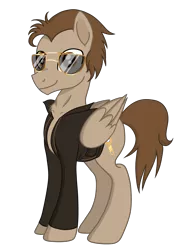 Size: 3445x4823 | Tagged: safe, artist:darkest-lunar-flower, derpibooru import, oc, oc:toffee scotch, unofficial characters only, pegasus, pony, 2018 community collab, derpibooru community collaboration, clothes, jacket, leather jacket, looking at you, simple background, solo, sunglasses, transparent background