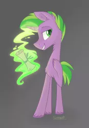 Size: 1024x1471 | Tagged: safe, artist:flourret, derpibooru import, spike, ponified, pony, unicorn, glowing horn, gray background, male, ponified spike, scroll, simple background, smiling, solo, species swap, stallion, unshorn fetlocks