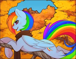 Size: 1280x996 | Tagged: safe, artist:spittfireart, color edit, derpibooru import, edit, edited edit, rainbow dash, pegasus, pony, autumn, clothes, colored, cute, female, leaves, mare, open mouth, prone, scarf, smiling, solo, tree, underhoof