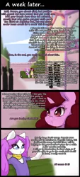 Size: 864x1920 | Tagged: safe, artist:darkestmbongo, derpibooru import, oc, oc:d.d, unofficial characters only, earth pony, pony, unicorn, ask ddthemaid, comic:ddthemaid memories, bench, clothes, comic, dialogue, dress, female, generic pony, pigtails, scarf, skirt