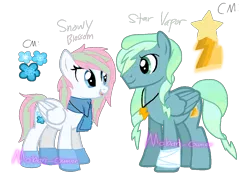 Size: 1142x830 | Tagged: safe, artist:mobian-gamer, derpibooru import, oc, oc:snowy blossom, oc:star vapor, unofficial characters only, cutie mark background, offspring, parent:blossomforth, parent:double diamond, parents:doubleforth, parent:sky stinger, parents:vaporsky, parent:vapor trail, reference sheet, simple background, transparent background