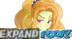 Size: 924x507 | Tagged: safe, artist:kotoura shogo, derpibooru import, adagio dazzle, human, equestria girls, rainbow rocks, caption, cropped, expand dong, exploitable meme, female, hair, image macro, looking at you, meme, reaction image, solo