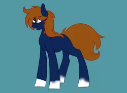 Size: 4750x3500 | Tagged: artist:darkart, derpibooru import, draft horse, glasses, oc, oc:spec steele, safe, simple background, solo, unofficial characters only