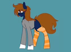 Size: 4750x3500 | Tagged: artist:darkart, clothes, derpibooru import, draft horse, glasses, hoodie, oc, oc:spec steele, safe, socks, solo, striped socks, thigh highs, unofficial characters only