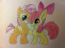 Size: 2592x1936 | Tagged: safe, artist:anonymousnekodos, derpibooru import, apple bloom, babs seed, pony, hug, one eye closed, smiling, traditional art
