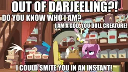 Size: 883x497 | Tagged: safe, derpibooru import, screencap, discord, jasmine leaf, draconequus, pony, discordant harmony, angry, darjeeling, female, food, image macro, mare, meme, tea, tea shop, the avengers