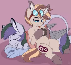 Size: 1916x1758 | Tagged: safe, artist:meggchan, derpibooru import, oc, oc:cogwheel, oc:vintage collection, unofficial characters only, bat pony, hippogriff, pony, bat pony oc, claws, cute, female, fluffy, goggles, leonine tail, male, mare, sitting, sleeping, stallion, talons, tongue out
