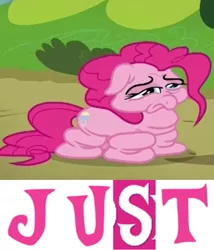 Size: 605x706 | Tagged: safe, derpibooru import, edit, edited screencap, screencap, pinkie pie, earth pony, pony, rock solid friendship, /mlp/, 4chan, caption, cropped, deflated, deflation, expand dong, exploitable meme, female, image macro, just, mare, meme, reaction image, sad, solo