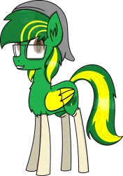 Size: 1200x1701 | Tagged: safe, artist:kiwipone, derpibooru import, oc, oc:kiwi aura, unofficial characters only, pegasus, pony, 2018 community collab, derpibooru community collaboration, beanie, clothes, glasses, hat, male, simple background, smiling, socks, solo, transparent background