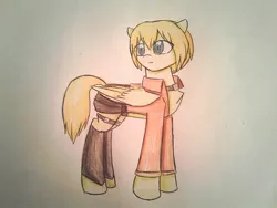 Size: 1012x760 | Tagged: safe, artist:ponime11, derpibooru import, ponified, pegasus, pony, armin arlert, attack on titan, clothes, solo, traditional art