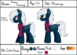 Size: 2800x2000 | Tagged: safe, artist:cloudy95, derpibooru import, oc, oc:patchy darkwing, unofficial characters only, bat pony, pony, clothes, high res, male, reference sheet, scarf, solo, stallion