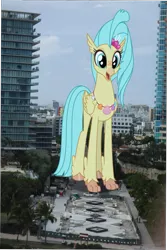 Size: 1471x2197 | Tagged: safe, artist:oceanrailroader, derpibooru import, princess skystar, classical hippogriff, hippogriff, pony, my little pony: the movie, florida, giant pony, giantess, highrise ponies, irl, macro, mega skystar, miami, photo, ponies in real life