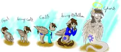 Size: 1280x549 | Tagged: safe, artist:thiefdsaara1, artist:thomas tesla, deleted from derpibooru, derpibooru import, oc, oc:thomas tesla, unofficial characters only, ghost, pegasus, pony, adopted, colt, dead, death, foal, halo, haunting, large wings, male, orphan, simple background, stallion, story included, student, timeline, untimely death, watermark, wings