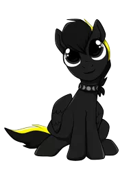 Size: 1592x2048 | Tagged: safe, artist:tayarinne, derpibooru import, edit, oc, oc:shadow whip, unofficial characters only, pegasus, pony, 2018 community collab, derpibooru community collaboration, collar, cute, looking at you, male, pet play, ponysona, simple background, solo, stallion, transparent background, wings