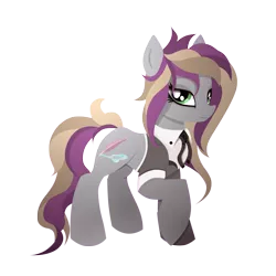 Size: 1250x1250 | Tagged: safe, artist:pedrohander, derpibooru import, oc, oc:allegoria, unofficial characters only, earth pony, pony, 2018 community collab, derpibooru community collaboration, clothes, female, mare, necktie, reference sheet, shirt, simple background, solo, transparent background, vest