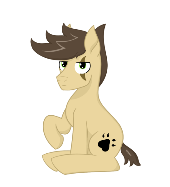 Size: 1000x1100 | Tagged: safe, artist:dyonys, derpibooru import, oc, oc:night chaser, unofficial characters only, earth pony, pony, 2018 community collab, derpibooru community collaboration, male, scar, simple background, sitting, stallion, transparent background