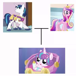 Size: 880x886 | Tagged: canon, captain obvious, cradle, critical research failure, crown, derpibooru import, diaper, family tree, jewelry, mind blown, princess cadance, princess flurry heart, regalia, safe, shining armor, trolling