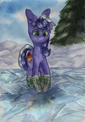 Size: 900x1289 | Tagged: safe, artist:rinioshi, derpibooru import, oc, oc:proudy hooves, unofficial characters only, earth pony, pony, ice skates, male, solo, stallion, traditional art, winter