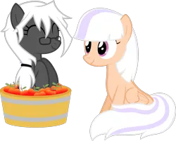 Size: 1765x1422 | Tagged: safe, artist:zacatron94, derpibooru import, oc, oc:captain white, oc:sweep star, unofficial characters only, pegasus, pony, apple, basket, female, food, mare, pony in a basket, simple background, sitting, transparent background, vector