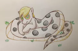 Size: 2751x1829 | Tagged: artist:glitterbombpony, coils, derpibooru import, grass, hypnosis, kaa eyes, lamia, male, oc, oc:mesme rize, original species, safe, smiling, snake, solo, traditional art, unofficial characters only