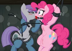 Size: 5016x3541 | Tagged: suggestive, artist:zajice, derpibooru import, maud pie, pinkie pie, earth pony, pony, art pack:breaking saddle 2, armpits, art pack, ballgag, bdsm, belly button, bipedal, blushing, bondage, clothes, collar, crying, female, femdom, femsub, frog (hoof), gag, incest, leash, lesbian, looking at each other, mauddom, nudity, panties, piecest, pinkiemaud, pinkiesub, plump, riding crop, shipping, socks, submissive, teary eyes, thigh highs, tied up, underhoof, underwear, whip marks