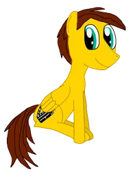 Size: 2160x2736 | Tagged: safe, artist:sb1991, derpibooru import, oc, oc:film reel, unofficial characters only, pegasus, pony, 2018 community collab, derpibooru community collaboration, looking at you, simple background, sitting, transparent background