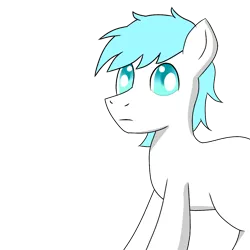 Size: 1200x1200 | Tagged: safe, artist:cappie, derpibooru import, oc, oc:diamond frost, unofficial characters only, pony, bust, male, portrait, simple background, solo, stallion