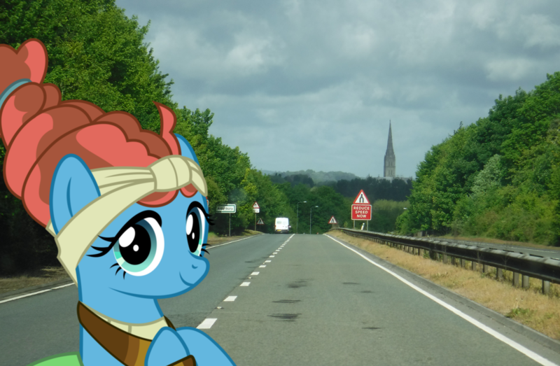 Size: 2629x1719 | Tagged: safe, artist:jhayarr23, artist:oceanrailroader, derpibooru import, meadowbrook, pony, england, irl, photo, ponies in real life, salisbury, solo