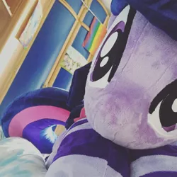 Size: 2048x2048 | Tagged: artist:epicrainbowcrafts, clothes, derpibooru import, irl, photo, plushie, safe, socks, striped socks, twilight sparkle