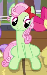 Size: 290x465 | Tagged: safe, derpibooru import, screencap, alula, apple bloom, florina tart, minty apple, earth pony, pony, apple family reunion, apple family member, background pony, bow, cropped, cute, eyes on the prize, female, florinadorable, hair bow, mare, smiling, solo focus