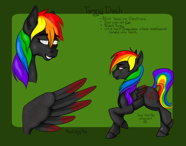 Size: 1200x943 | Tagged: safe, artist:littlewolfstudios, derpibooru import, oc, oc:tammy dash, oc:tammydash, unofficial characters only, pegasus, pony, black, blind, female, mare, rainbow, reference, reference sheet, wings