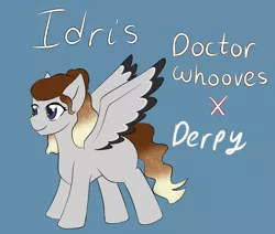 Size: 2600x2200 | Tagged: safe, artist:jolliapplegirl, derpibooru import, oc, oc:idris, unofficial characters only, pegasus, pony, bio, female, mare, next generation, offspring, parent:derpy hooves, parent:doctor whooves, parents:doctorderpy, solo