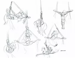 Size: 1600x1243 | Tagged: safe, artist:baron engel, derpibooru import, pony, acrobatics, active stretch, backbend, contortionist, flexible, frontbend, generic pony, grayscale, monochrome, oversplit, pencil drawing, ribbon, silk, simple background, splits, traditional art, white background