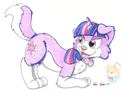 Size: 1105x830 | Tagged: safe, artist:silversimba01, derpibooru import, twilight sparkle, collie, dog, unicorn, dogified, fanart, female, simple background, species swap, traditional art, twilight barkle, white background