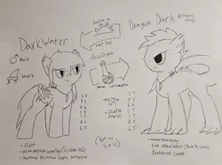 Size: 3239x2404 | Tagged: safe, artist:lucky dragon, derpibooru import, oc, oc:dark water, unofficial characters only, bat pony, dracony, dragon, hybrid, gills, jewelry, male, necklace, potion, reference sheet, spikes, stallion, stats, traditional art, transformation