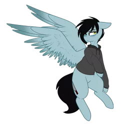 Size: 1489x1500 | Tagged: safe, artist:despotshy, derpibooru import, oc, oc:tyler, unofficial characters only, pegasus, pony, clothes, hoodie, male, simple background, solo, stallion, transparent background