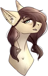 Size: 2121x3385 | Tagged: safe, artist:lastaimin, derpibooru import, oc, oc:vanilla, unofficial characters only, earth pony, pony, bust, female, high res, mare, portrait, simple background, solo, transparent background