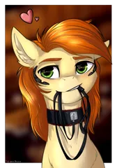 Size: 1782x2550 | Tagged: safe, artist:vincher, derpibooru import, oc, oc:rave muller, unofficial characters only, pegasus, pony, collar, floating heart, heart, heart eyes, leash, male, mouth hold, pet play, solo, wingding eyes