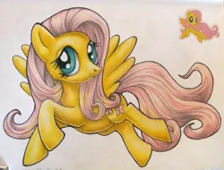 Size: 1054x800 | Tagged: safe, artist:andpie, derpibooru import, fluttershy, pony, female, mare, solo, traditional art