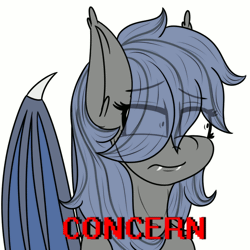 Size: 600x600 | Tagged: safe, artist:eclipsepenumbra, derpibooru import, oc, oc:eclipse penumbra, unofficial characters only, bat pony, animated, bat pony oc, concern, concerned, reaction image, solo