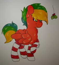 Size: 1462x1619 | Tagged: safe, artist:ponkus, derpibooru import, oc, oc:mango tango (ponkus), unofficial characters only, pegasus, pony, clothes, female, mare, socks, solo, striped socks, traditional art