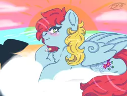 Size: 1024x768 | Tagged: safe, artist:jadedmelody613, derpibooru import, thistle whistle, pegasus, pony, blushing, chest fluff, cloud, ear fluff, female, freckles, g3, heart eyes, looking at you, mare, signature, solo, sunset, wingding eyes